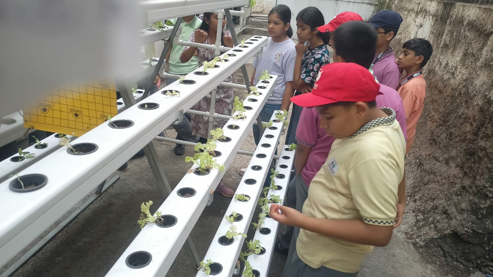 Exchange of Expertise – Learning Beyond Classrooms