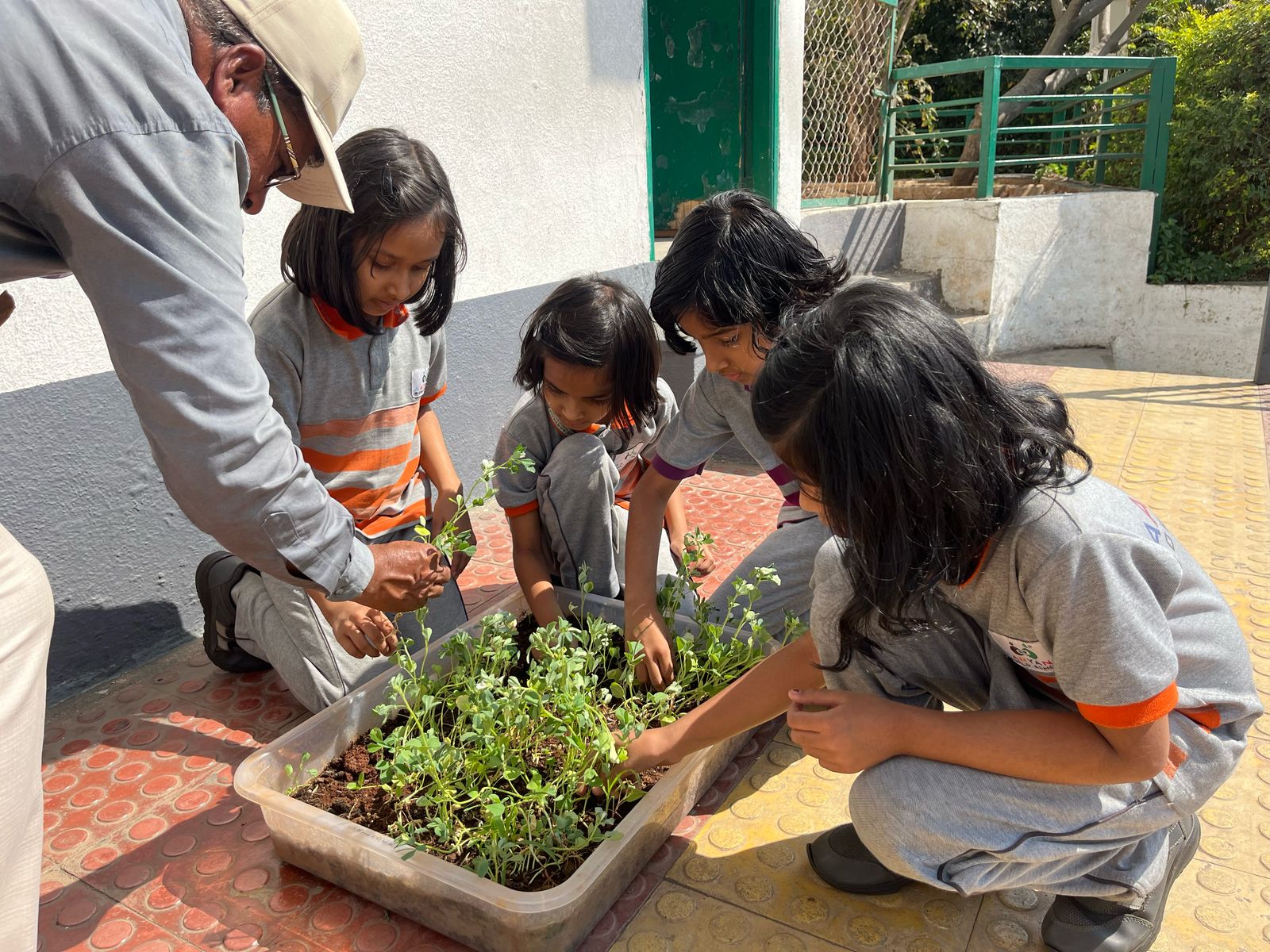 PROJECTS - Hari Bhari Vasundhara